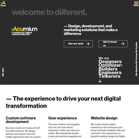 acumium.com screenshot